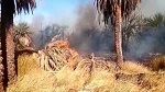 ليبيا: حريق هائل في 3 مزارع 