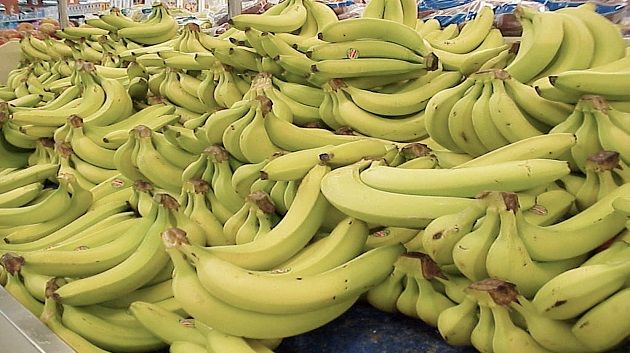 النفيضة: حجز شاحنة من الموز المهرّب وفرار سائقها