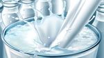 المجمع المهني:المخزون الوطني من الحليب بلغ 19 مليون لتر ولامبرر لتخوف المستهلكين
