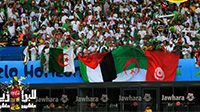 صور مباراة المنتخب الجزائري و المنتخب البلجيكي 