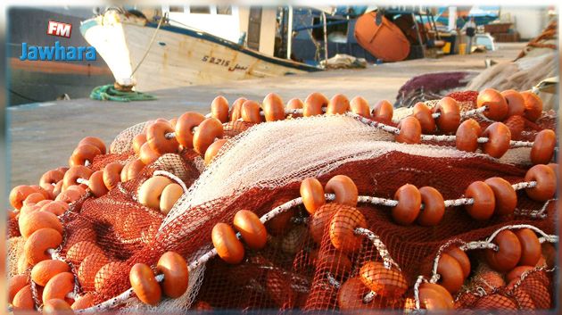 زيادة بـ2% في إنتاج الصيد البحري سنة 2017