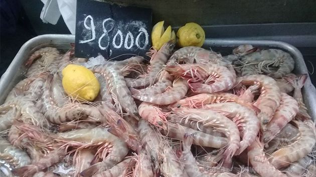 أسعار الأسماك اليوم في المهدية