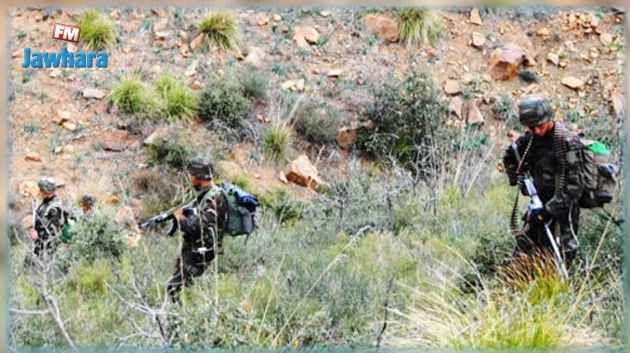 الجيش الجزائري يدمر 4 مخابئ للإرهابيين