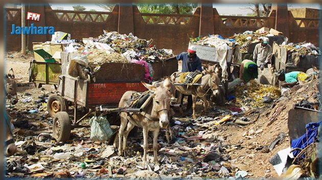 في باماكو.. الحمير في الخطوط الأمامية لمحاربة القمامة