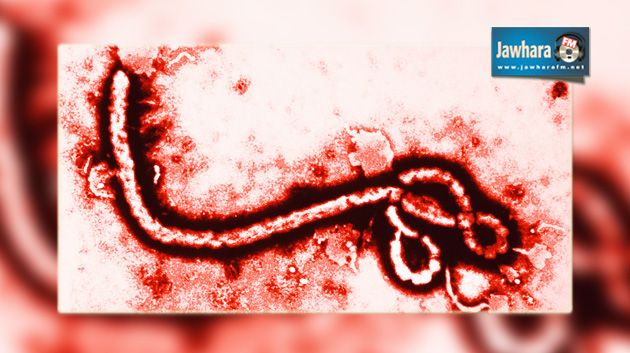 دكتورة بوزارة الصحة تبين أعراض الإيبولا وطريقة انتشاره