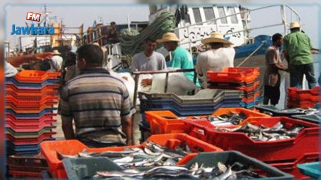 الميزان التجاري للصيد البحري يسجل فائضا بقيمة 2ر157 مليون دينار