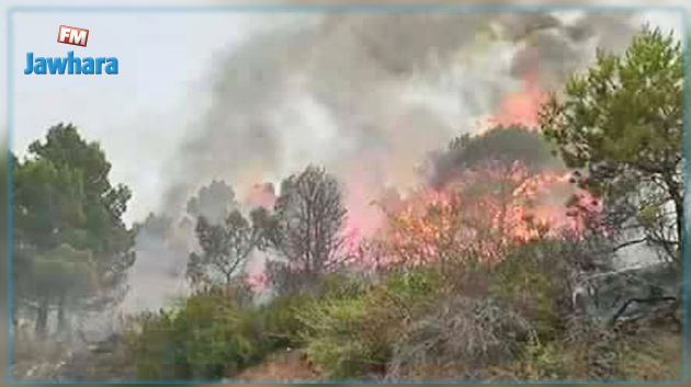 الكاف : نيران حريق جبل تكرونة الحدودية تقترب من المناطق السكنية