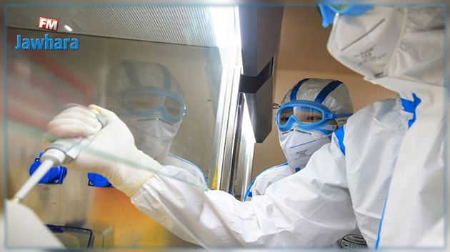 منظمة الصحة العالمية تخطط لإعادة التحقيق في أصل فيروس كورونا
