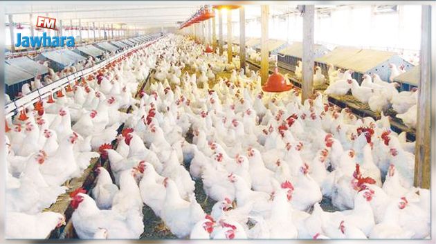 اكتشاف بؤرة لإنفلونزا الطيور شديد العدوى في فرنسا