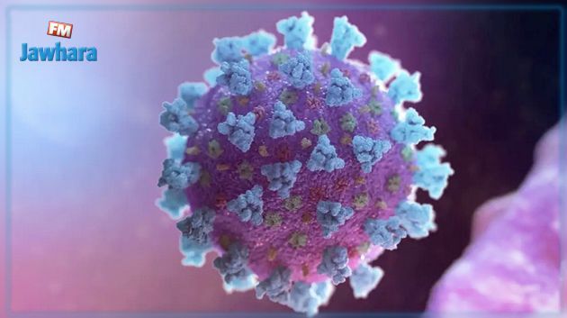 فرنسا : اكتشاف سلالة جديدة من فيروس كورونا
