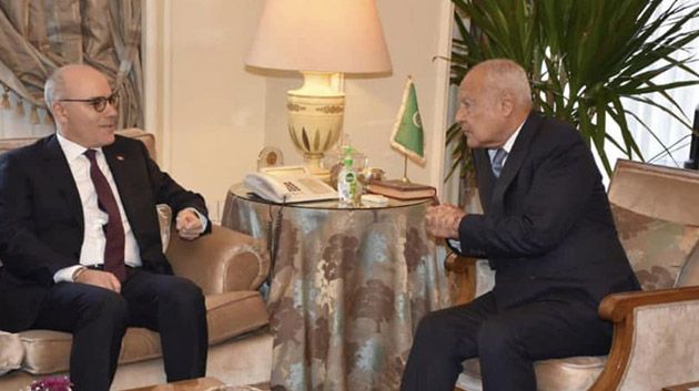 وزير الخارجية يتحادث مع أمين عام الجامعة العربية