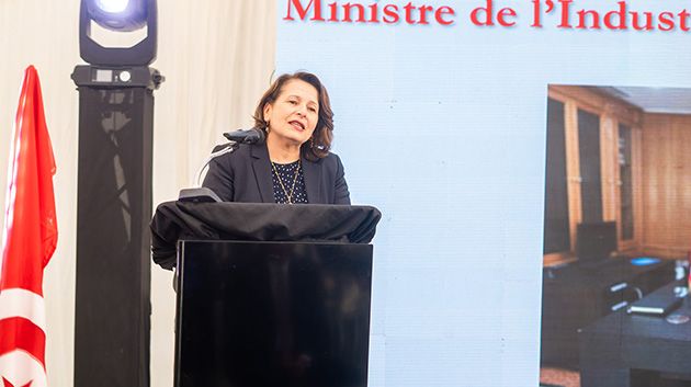وزيرة الصناعة: 'العجز الطاقي في تونس أصبح يثقل كاهل الدولة والمواطن والصناعيين'