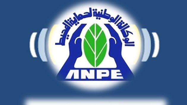 الوكالة الوطنية لحماية المحيط تطلق مسابقة وطنية لكتابة أفضل سيناريو بيئي توعوي