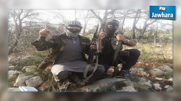 إصابات مباشرة في صفوف الإرهابيين المتحصنين في جبال ورغى