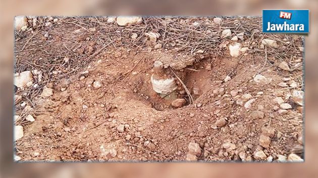 وزارة الدفاع : العثور على لغمين في جبل السمامة