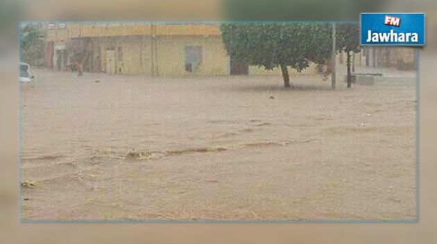 المنستير : نفوق 130 رأس غنم بسبب الأمطار