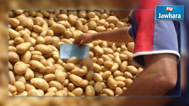 تحديد أسعار البطاطا