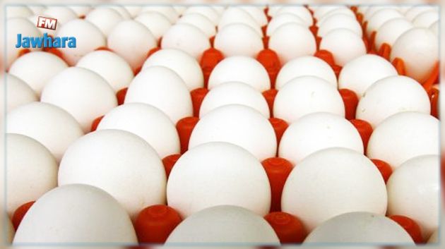 سحب كميات كبيرة من البيض من أسواق أوروبية