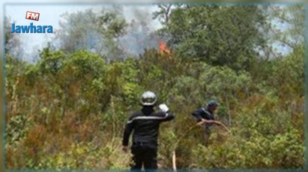 السيطرة على حريق في جبال الكاف