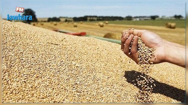تونس تطرح مناقصة دولية لشراء 150 الف طن من الحبوب