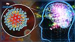 دراسة أولية: فيروس كورونا المستجد يمكن أن يضر بالمخ