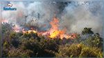 نابل: اندلاع حريق بجبل سيدي عبد الرحمان‎