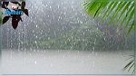 كمّيات الأمطار المسجّلة في 12 ولاية