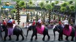 زفاف جماعي على ظهور الأفيال في تايلاند بمناسبة عيد الحب