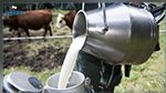 اتحاد الفلاحة يطالب بتفعيل الزيادة ب100 مليم في الحليب 