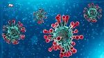 ظهور سلالة مغربية من فيروس كورونا