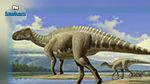 بحجم قط: اكتشاف أصغر بصمة على الإطلاق لطفل ديناصور ستيغوصور 