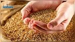 الشروع في توزيع كميّات من الحبوب المحليّة مجانا