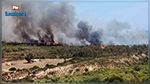 نابل : اندلاع حريق بجبل في تاكلسة