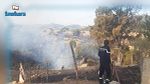 نشوب حريق بجبل علاّم : وزارة الفلاحة توضح