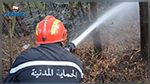 قرمبالية : اندلاع حريق بجبل سيدي علي المكي‎‎