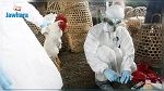 تحذيرات ومخاوف دولية من انتشار سريع لإنفلونزا الطيور 