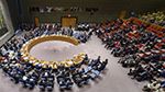 غدًا الخميس.. مجلس الأمن يُصوّت على عضوية فلسطين في الأمم المتحدة