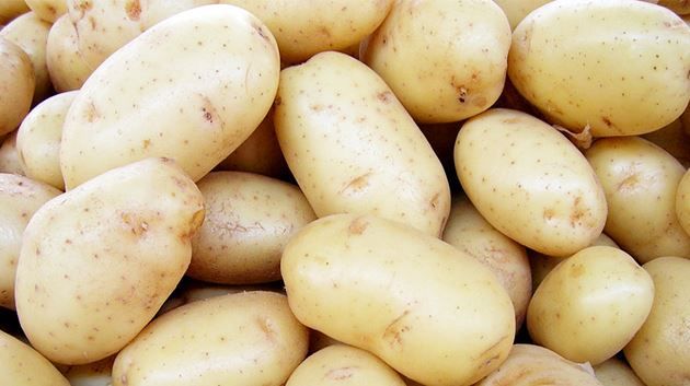 Jendouba : Les agriculteurs jettent de grandes quantités de pommes de terre dans les rues