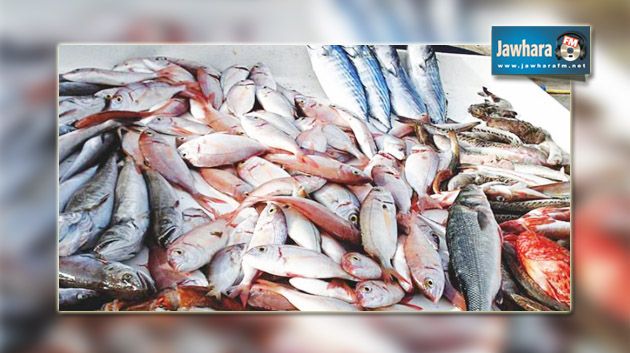 Tunisie: Exportation en hausse des produits de la pêche