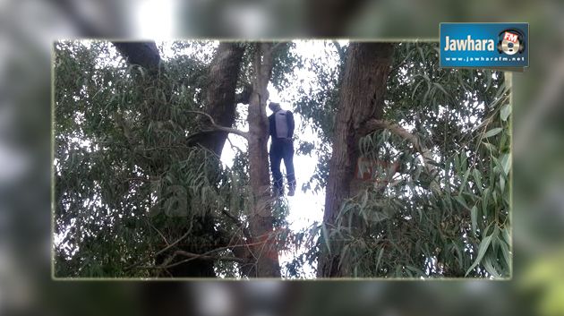Sousse : Un jeune homme trouvé pendu dans une forêt