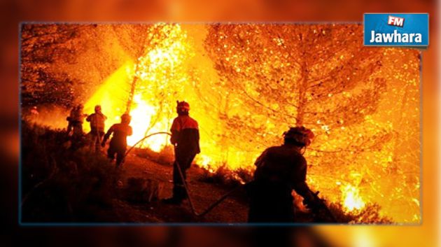 25 morts suite aux multiples incendies déclarés dans des forêts russes