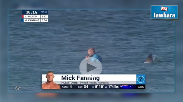 Un surfeur attaqué par un requin en pleine compétition (vidéo)