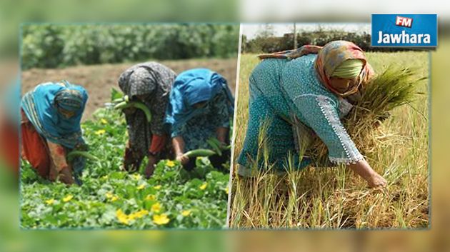 Agriculture : 500 mille ouvrières concernées par un nouvel accord de partenariat