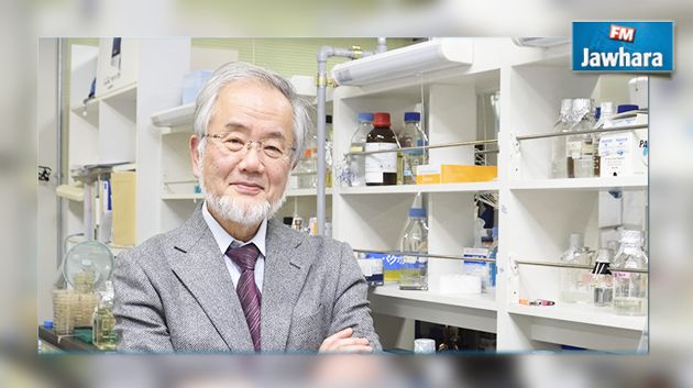 Le prix Nobel de médecine 2016 attribué au Japonais Yoshinori Ohsumi