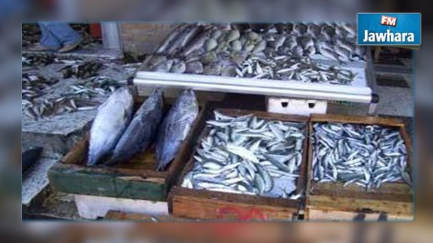 Contrebande : Saisie de 1900 kg de poissons