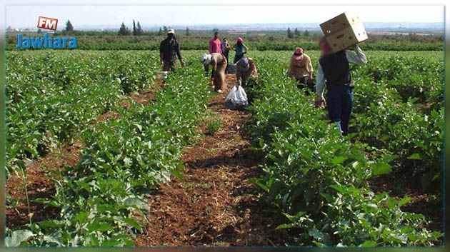 Report de la grève dans le secteur de l'agriculture 