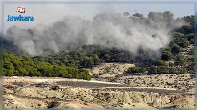 Kasserine : Plusieurs incendies dans les reliefs de Samama, Mghila et Chaambi