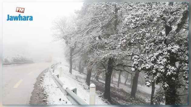 Chutes de neige : Plusieurs routes coupées au Kef et à Kasserine