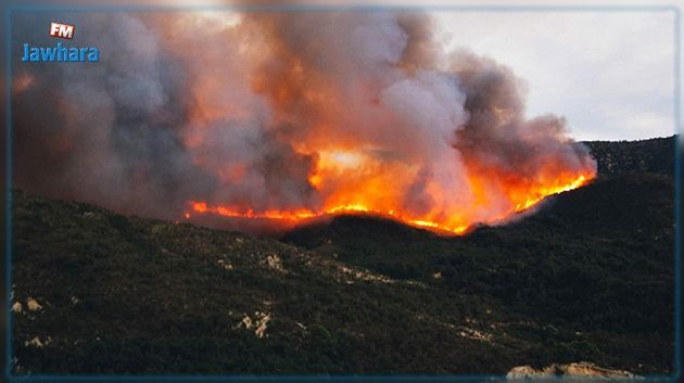 Jendouba- Incendie Boukornine : L'Algérie envoie du renfort pour soutenir les efforts de la protection civile