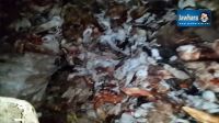Sousse: Saisie de 8 tonnes de viandes rouges périmées